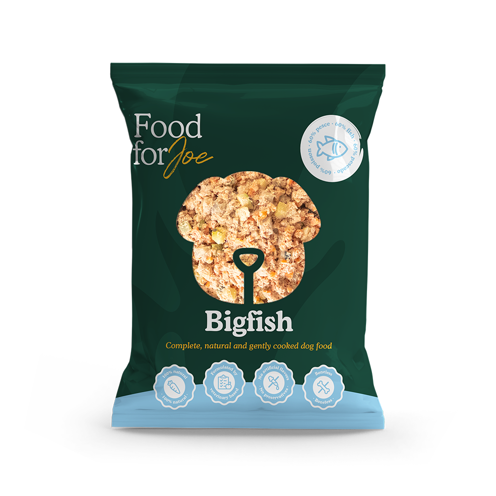 Food for Joe Bigfish 200 g