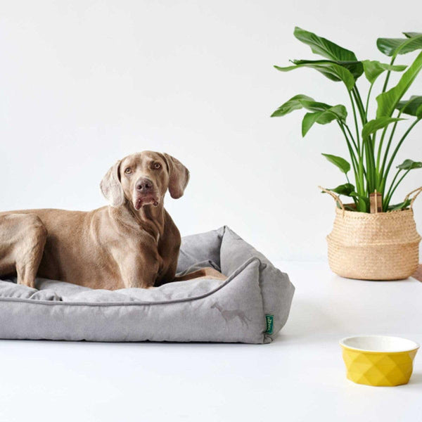 Hunter Cama Sofa Eiby Gris