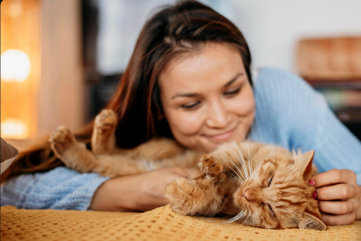 ¿Listo para darle lo mejor a tu mascota?