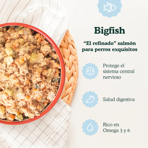 Food for Joe Bigfish 200 g