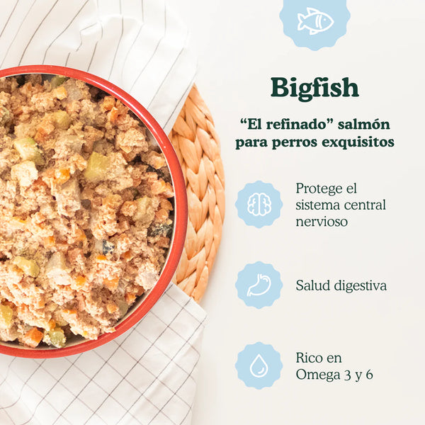 Food for Joe Bigfish 200 g