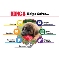 Kong Puppy