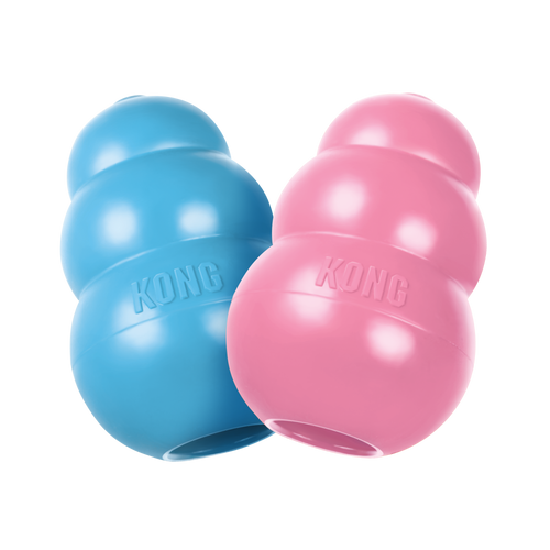 Kong Puppy