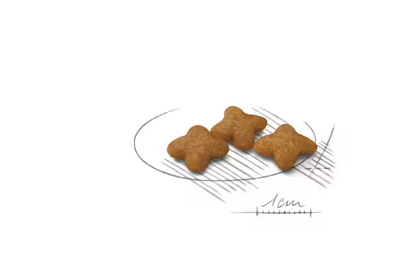 Royal Canin X Small Sterilised