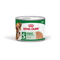 Royal Canin Mini Adult Size S