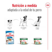 Royal Canin Mini Adult Size S