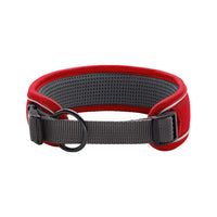 Hunter Collar Red Grey Divo