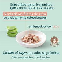 Schesir Kitten Atún con Aloe in jelly
