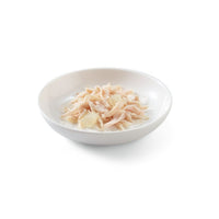 Schesir Kitten Pollo con Aloe in jelly