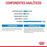 Royal Canin Starter Mommy & Baby
