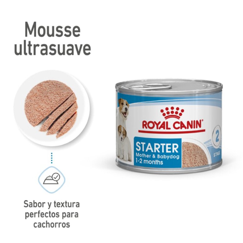 Royal Canin Starter Mommy & Baby