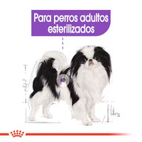 Royal Canin X Small Sterilised