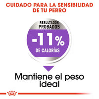 Royal Canin X Small Sterilised