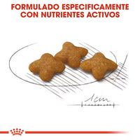 Royal Canin X Small Sterilised