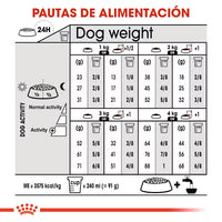 Royal Canin X Small Sterilised