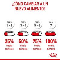 Royal Canin Kitten